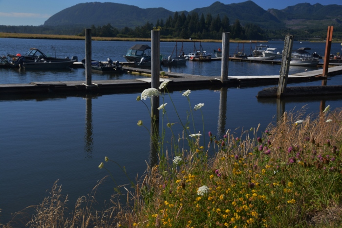 the town of Wheeler and its small harbor